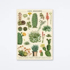 Cacti & Succulents Wrap