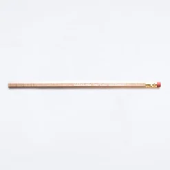 Carolina in the Morning Pencil