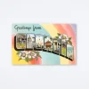 Greetings From Georgia White Blossom Postcard