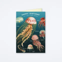 Happy Birthday Jellyfish Card