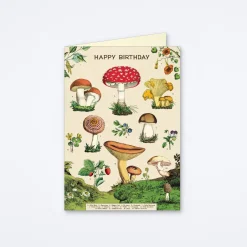 Happy Birthday Mushroom Card