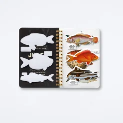 Judgy Fish Sticker Book