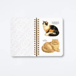 Moody Cats Sticker Book