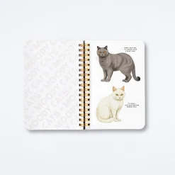 Moody Cats Sticker Book