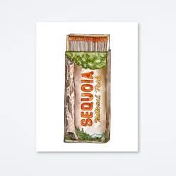 Sequoia Art Print
