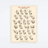 Sign Language Chart Wrap
